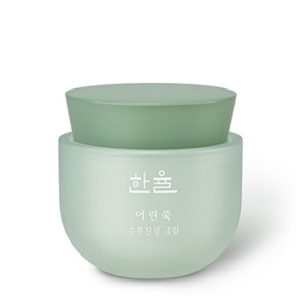 HanYul Pure Artemisia Watery Calming Cream korean skincare product online shop malaysia China macau1