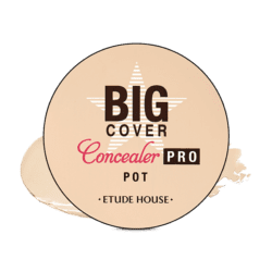 Etude House Big Cover Concealer PRO Pot 4g korean cosmetic skincare shop malaysia singapore indonesia