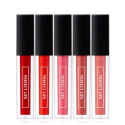 Tony Moly Perfect Lips Rouge Gloss 4.5g korean cosmetic skincare shop malaysia singapore indonesia