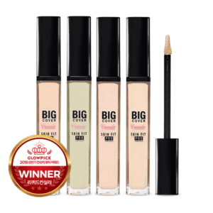 Etude House Big Cover Skin Fit Concealer Pro 7g korean cosmetic skincare shop malaysia singapore indonesia