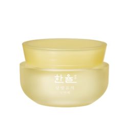 HanYul Moonlight Citron Sleeping Mask korean cosmetic skincare product online shop malaysia mexico argentina