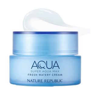 Nature Republic Super Aqua Max Fresh Watery Cream 80ml (for oily skin) korean skincare product online shop malaysia china usa