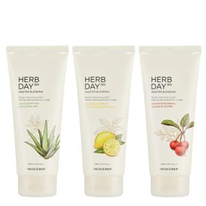 The Face Shop Herb Day 365 Master Blending Facial Cleansing Foam korean cosmetic skincare product online shop malaysia China hong kong