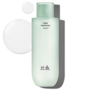 HanYul Pure Artemisia Calming Watery Toner korean skincare product online shop malaysia china singapore