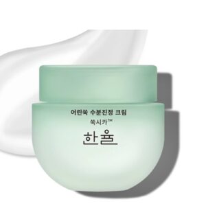 HanYul Pure Artemisia Watery Calming Cream korean skincare product online shop malaysia china singapore