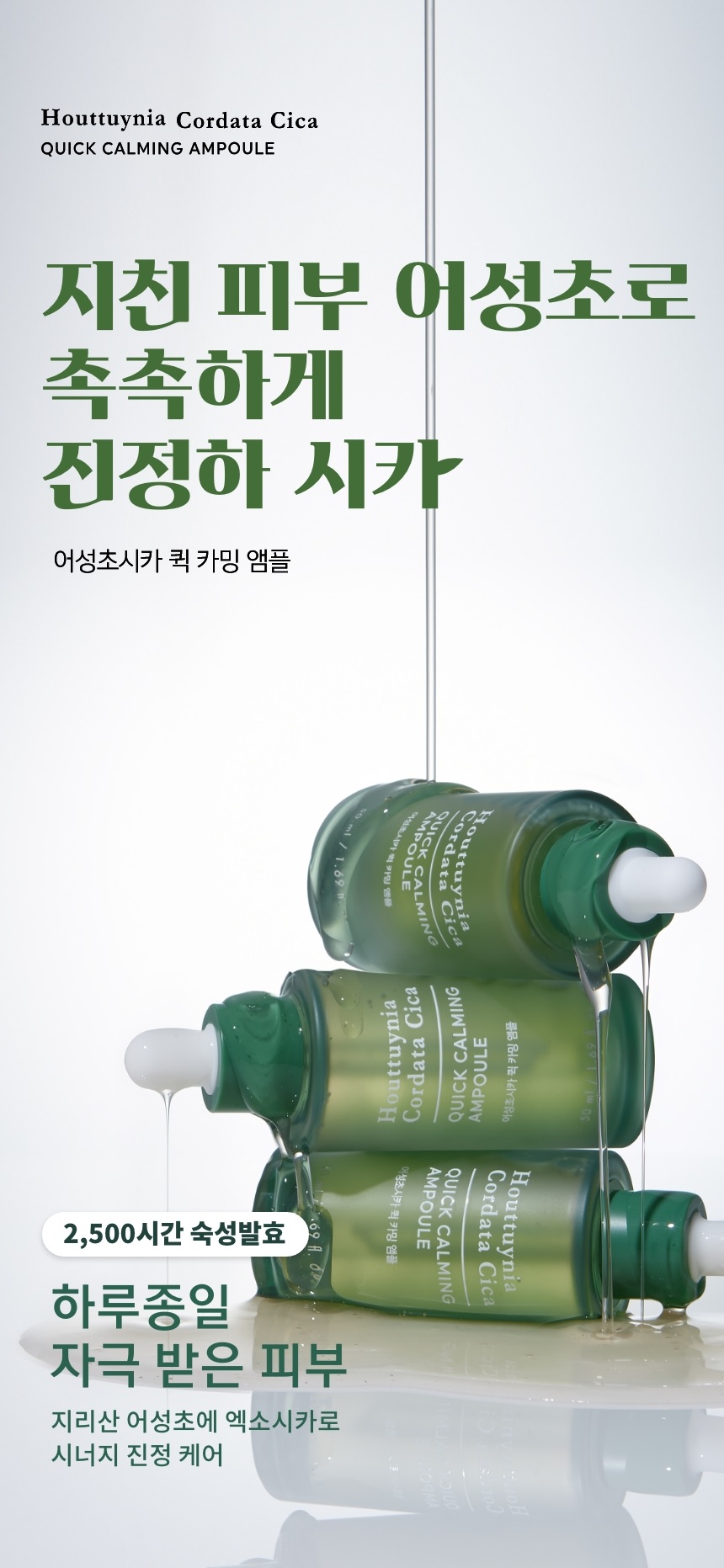 TONYMOLY Houttuynia Cordata Cica Quick Calming Ampoule korean skincare product online shop malaysia China Macau1