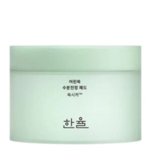 HanYul Pure Artemisia Watery Calming Pad korean skincare product online shop malaysia china singapore