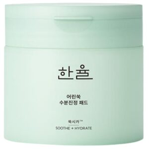 HanYul Pure Artemisia Watery Calming Pad korean skincare product online shop malaysia china india